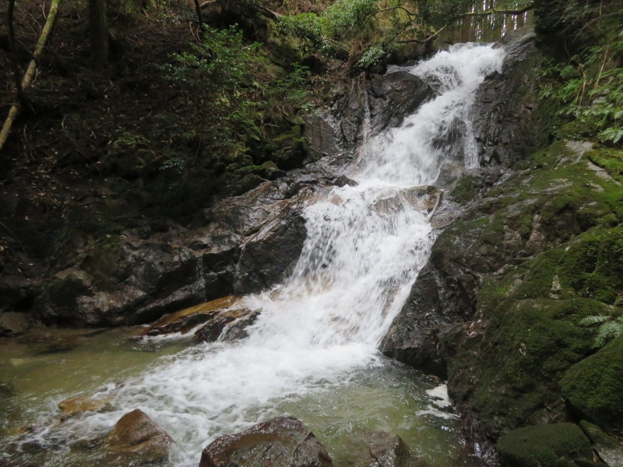 田代本滝