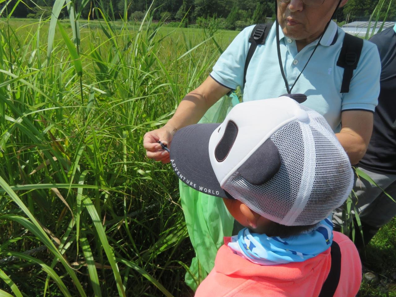 熱心に見入る小学生