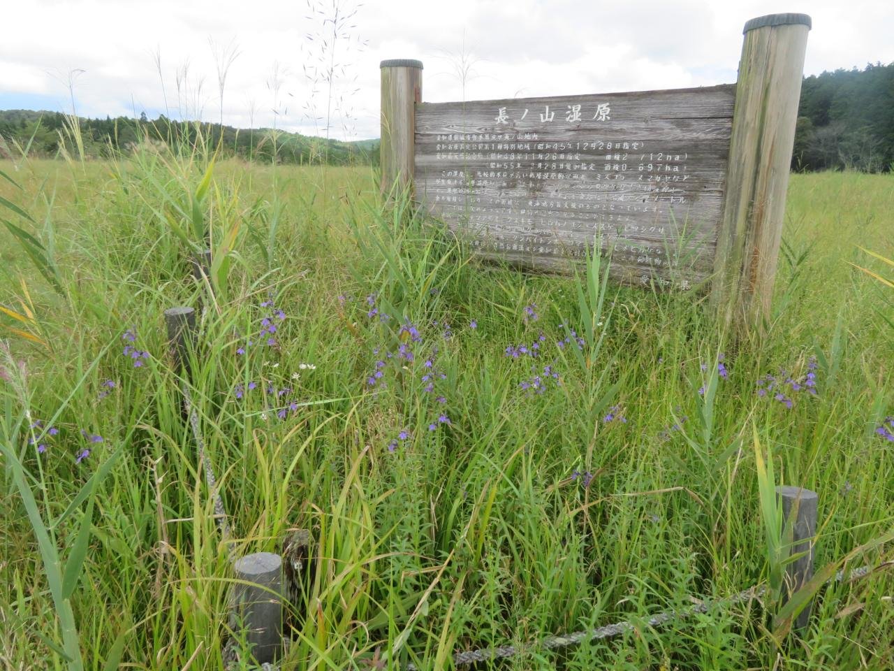 長ノ山湿原